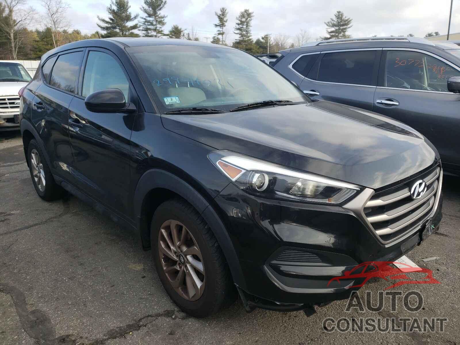 HYUNDAI TUCSON 2016 - KM8J23A42GU033145