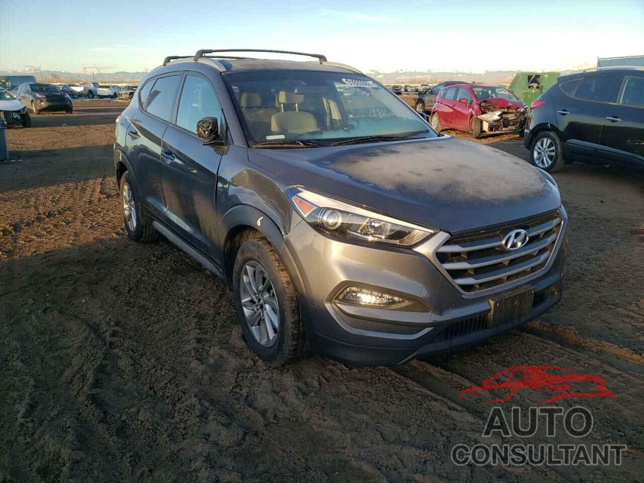 HYUNDAI TUCSON 2017 - KM8J33A42HU386287