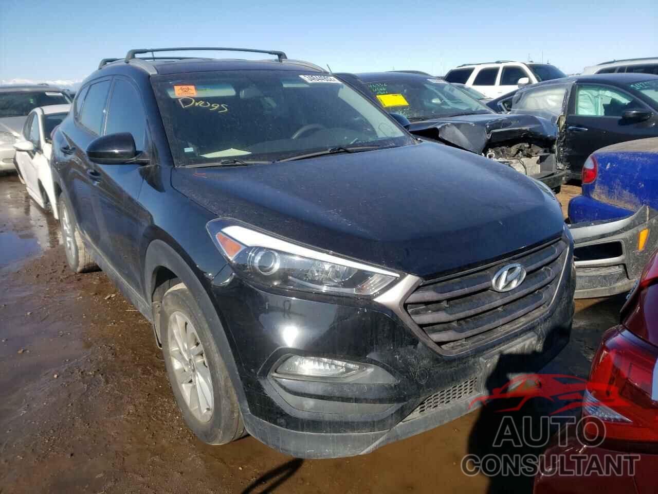 HYUNDAI TUCSON 2016 - KM8J3CA44GU243288