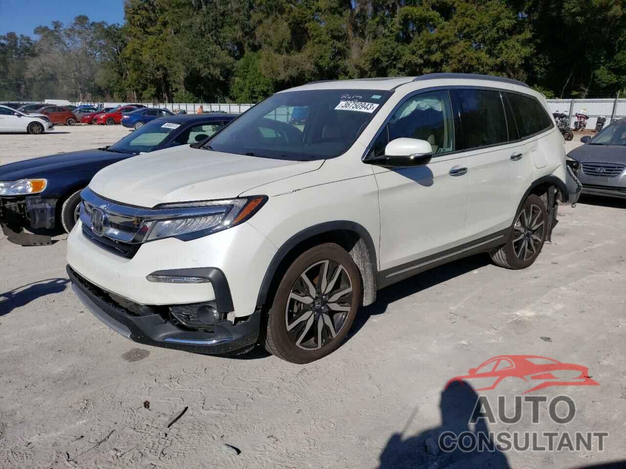 HONDA PILOT 2019 - 5FNYF6H05KB077332