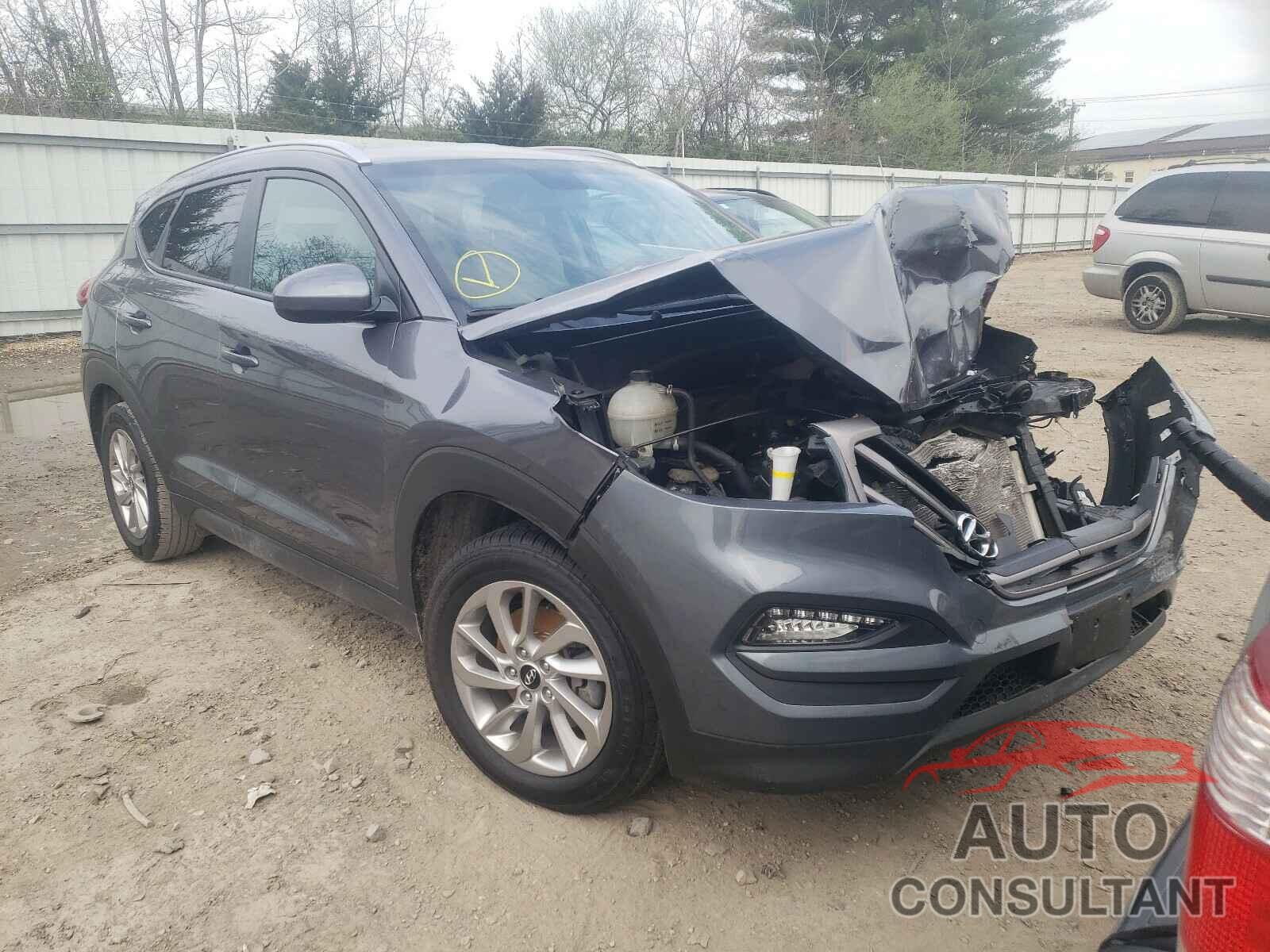 HYUNDAI TUCSON 2016 - KM8J33A49GU117475