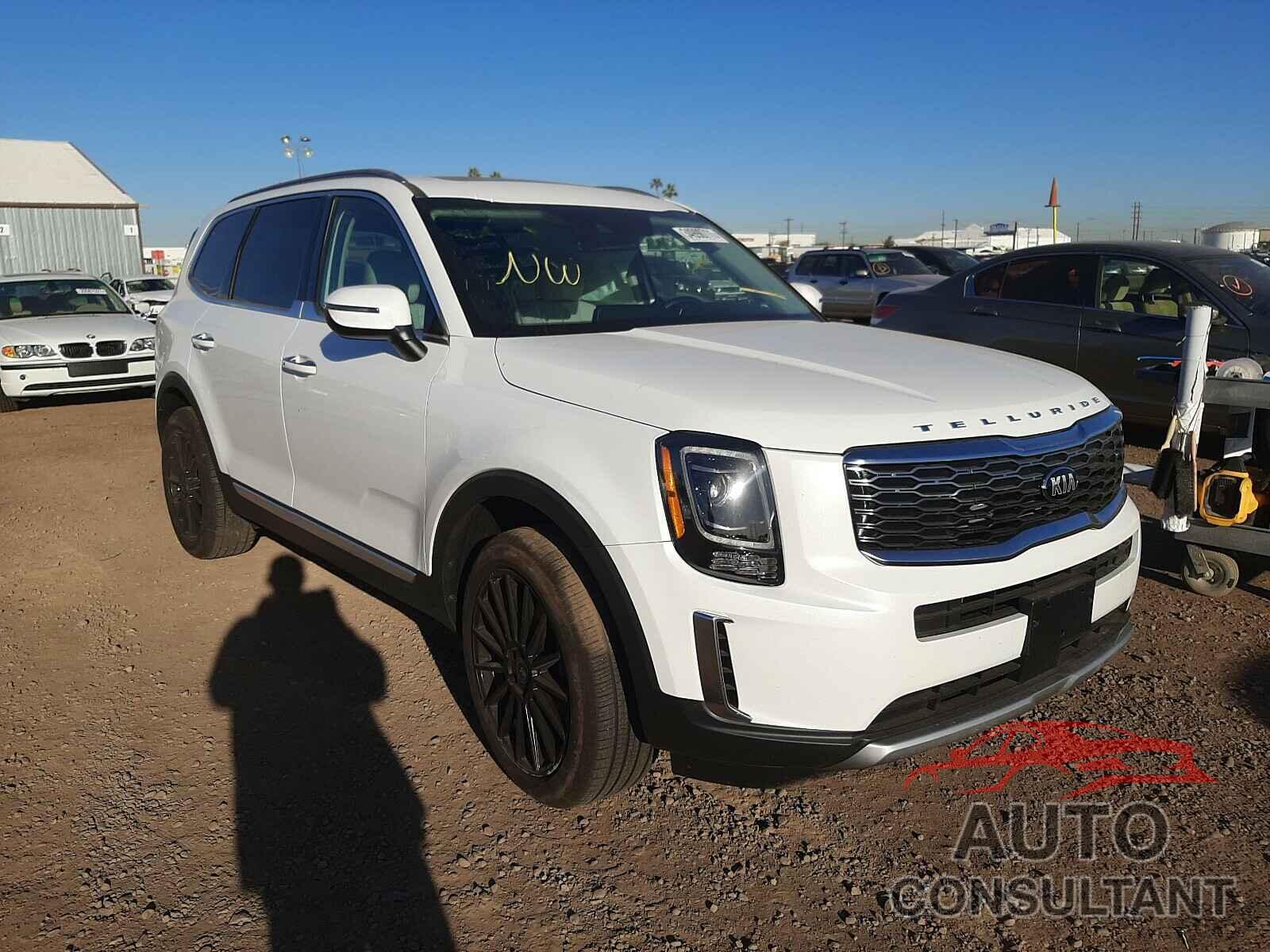 KIA TELLURIDE 2021 - 5XYP6DHC4MG098887