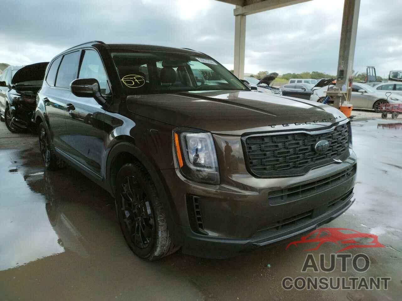 KIA TELLURIDE 2021 - 5XYP3DHC4MG098851