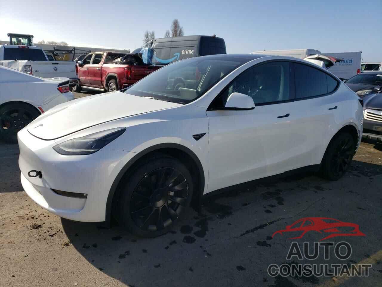 TESLA MODEL Y 2023 - 7SAYGDEEXPF590250