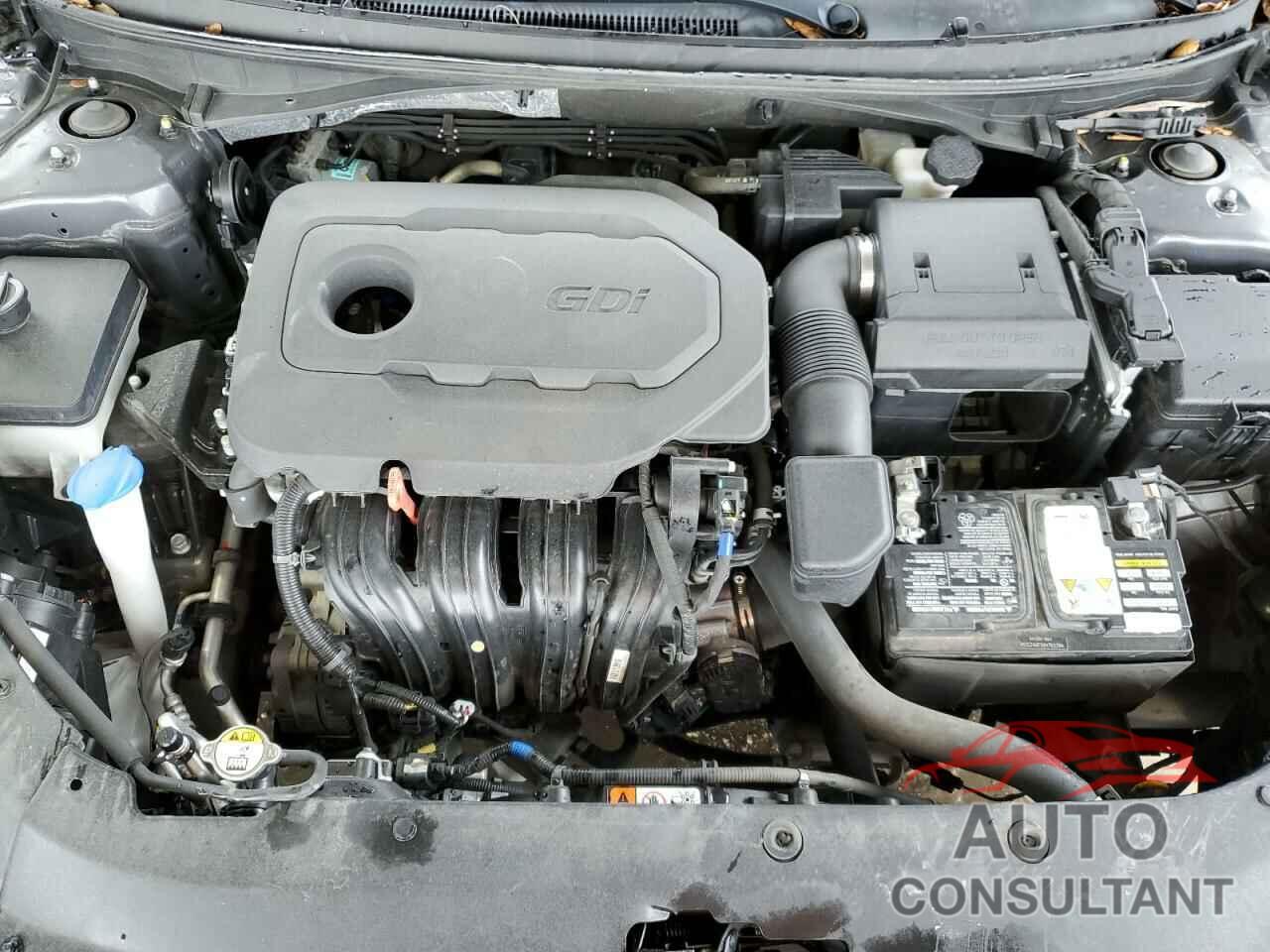 HYUNDAI SONATA 2019 - 5NPE24AF1KH765394