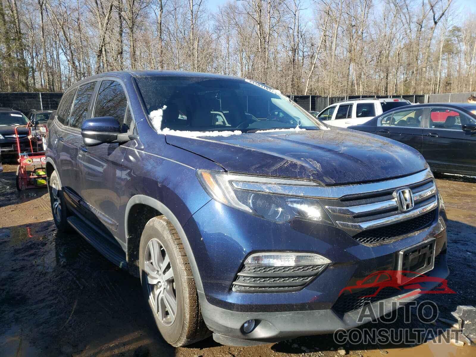 HONDA PILOT 2016 - 5FNYF5H34GB029865