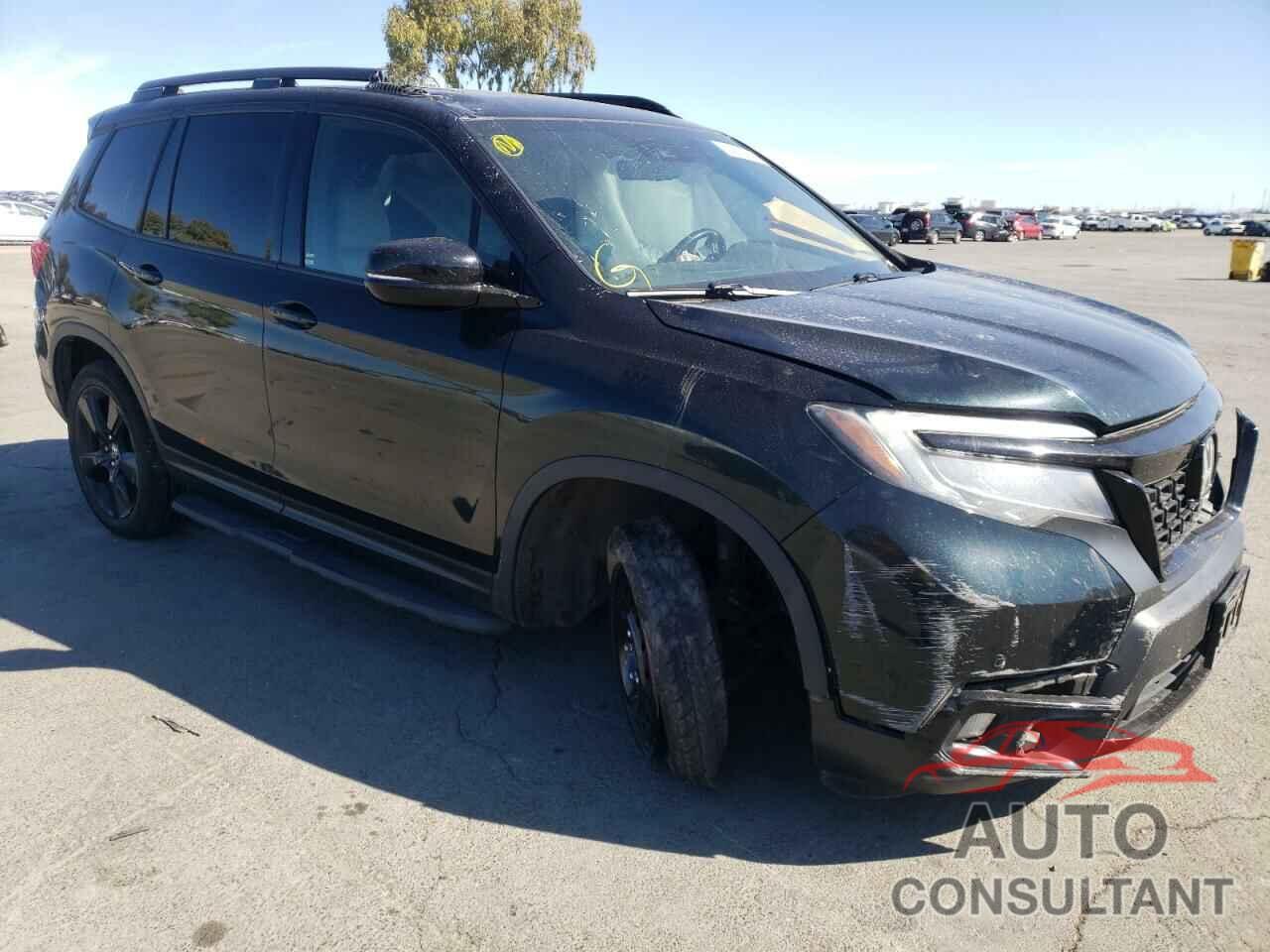 HONDA PASSPORT 2019 - 5FNYF8H09KB015220