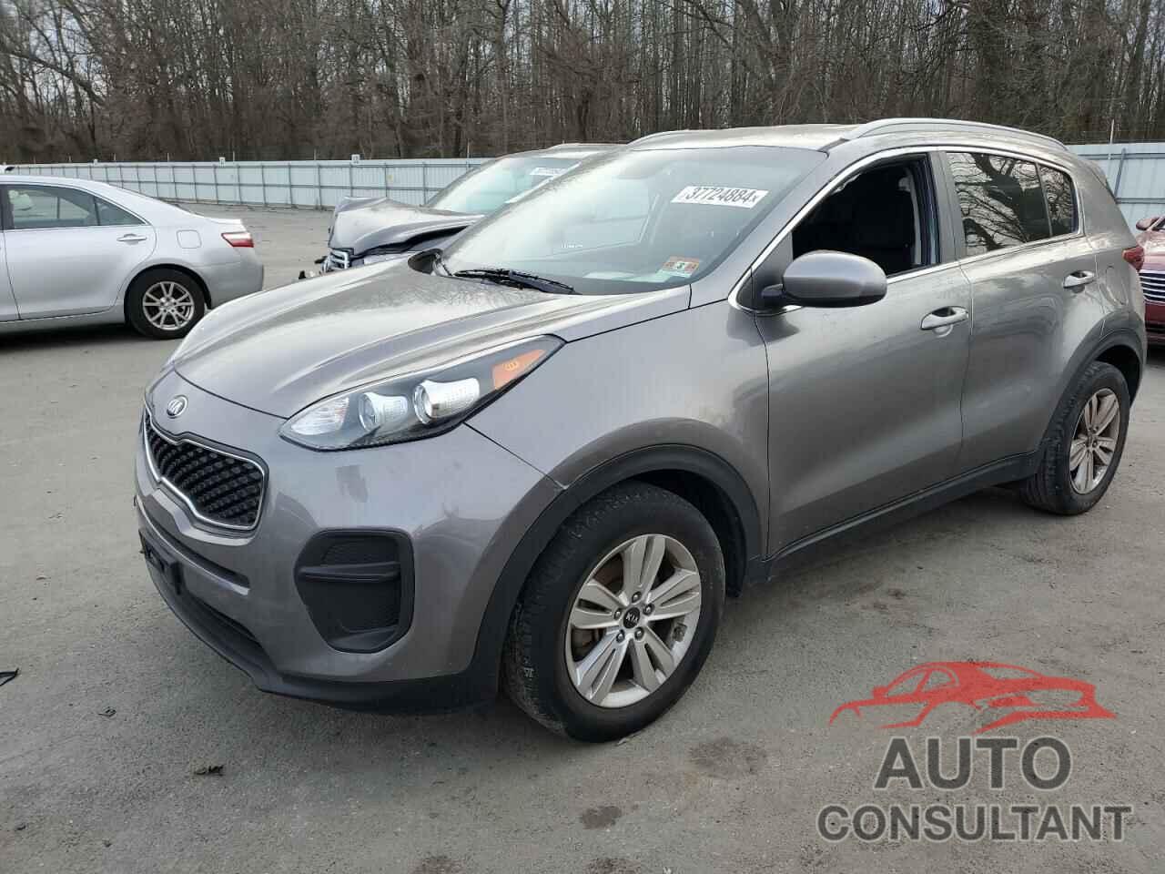 KIA SPORTAGE 2017 - KNDPM3ACXH7042272