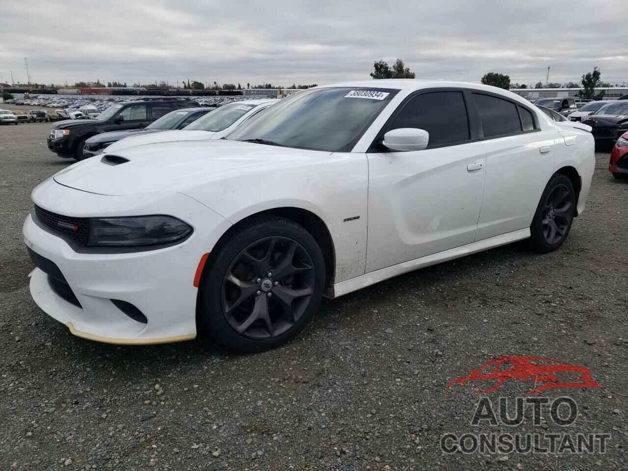 DODGE CHARGER 2019 - 2C3CDXCTXKH757345
