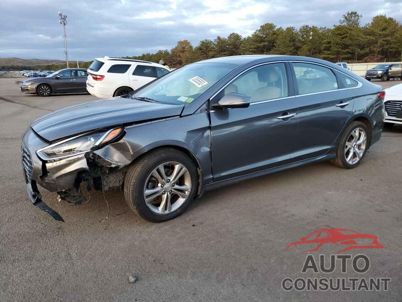HYUNDAI SONATA 2018 - 5NPE34AF9JH646116