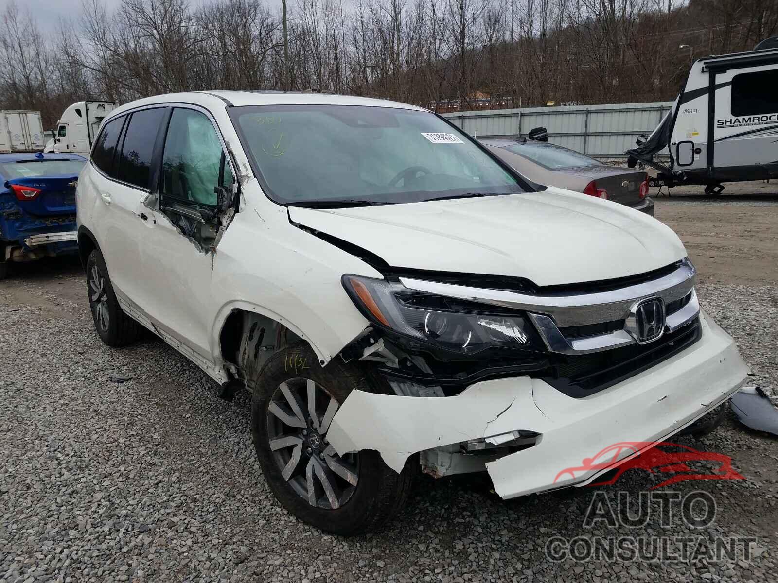 HONDA PILOT 2019 - 5FNYF6H52KB079177