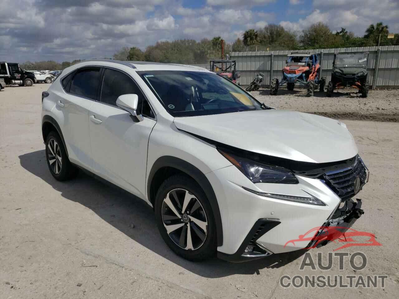 LEXUS NX 2019 - JTJYARBZ3K2147773