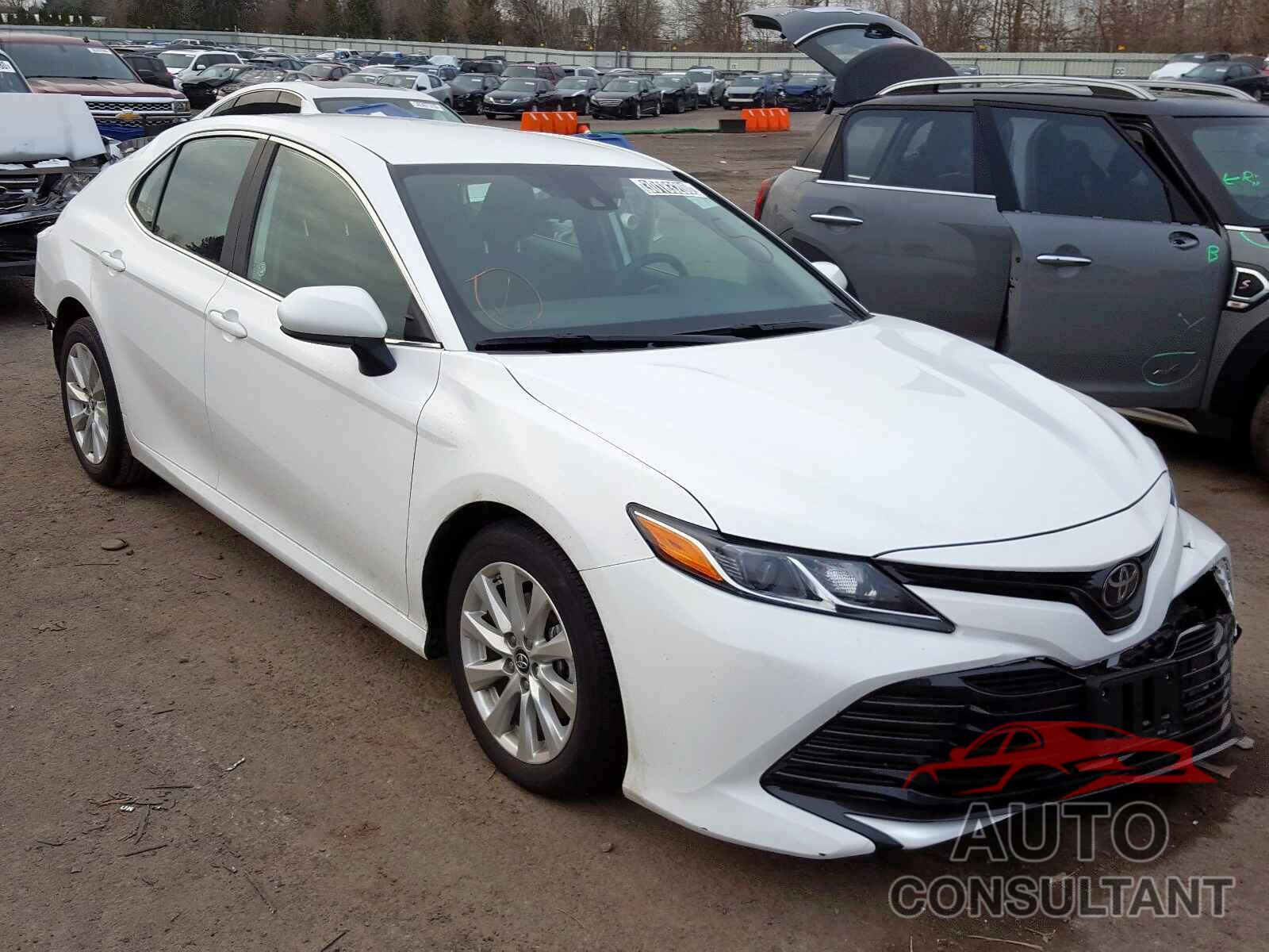TOYOTA CAMRY 2019 - 3MYDLBYV1KY516012