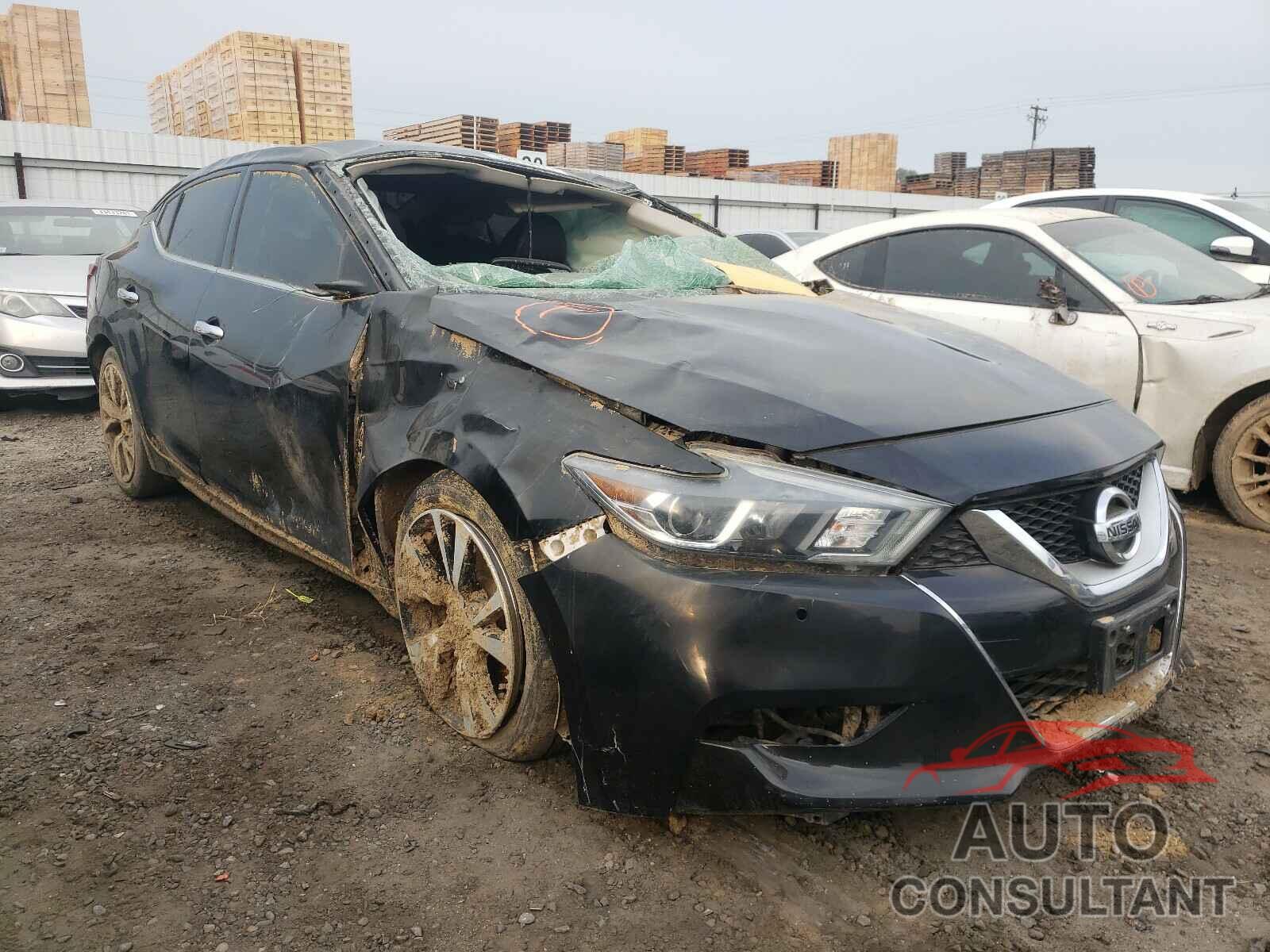 NISSAN MAXIMA 2017 - 1N4AA6AP2HC446537