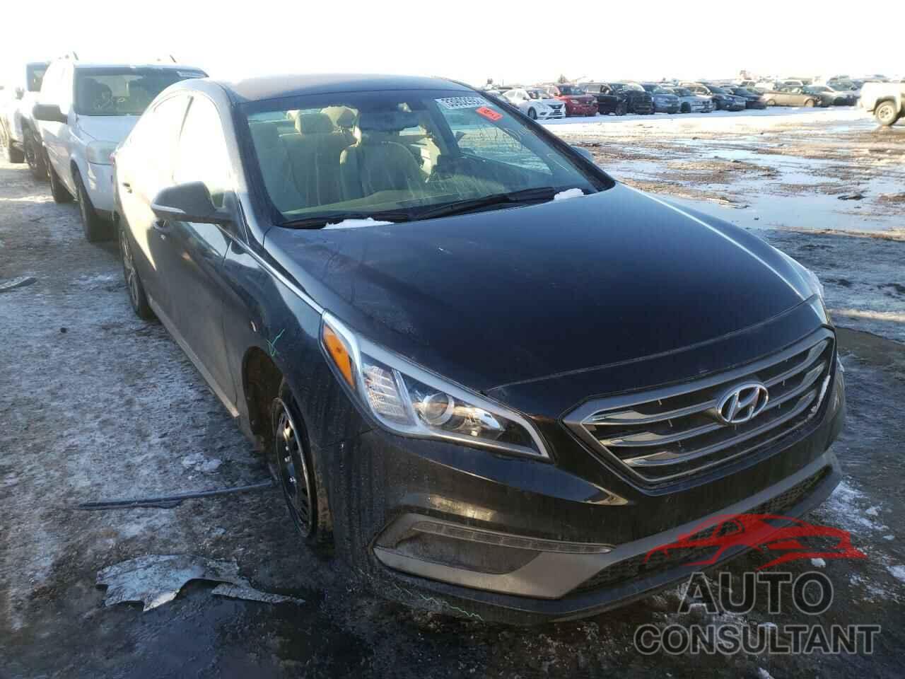 HYUNDAI SONATA 2016 - 5NPE34AF4GH436046