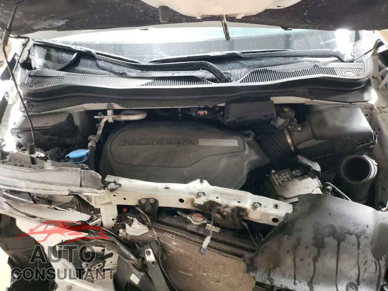 HONDA PILOT 2020 - 5FNYF6H94LB050123