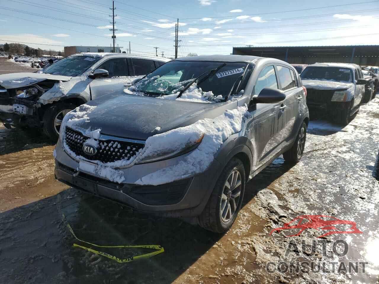 KIA SPORTAGE 2016 - KNDPBCACXG7859746