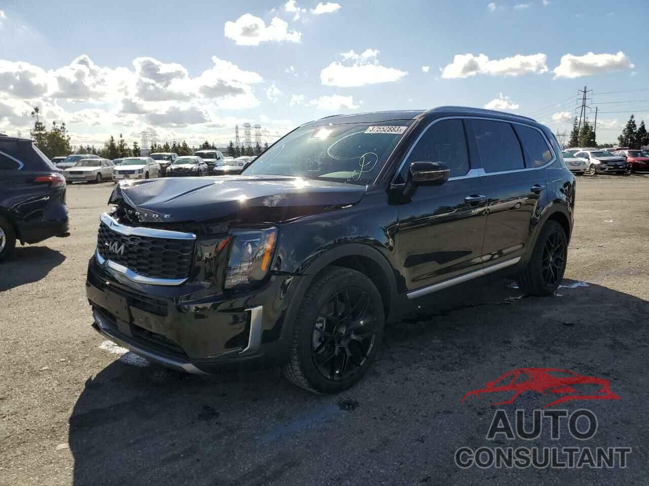 KIA TELLURIDE 2022 - 5XYP64HC9NG293062