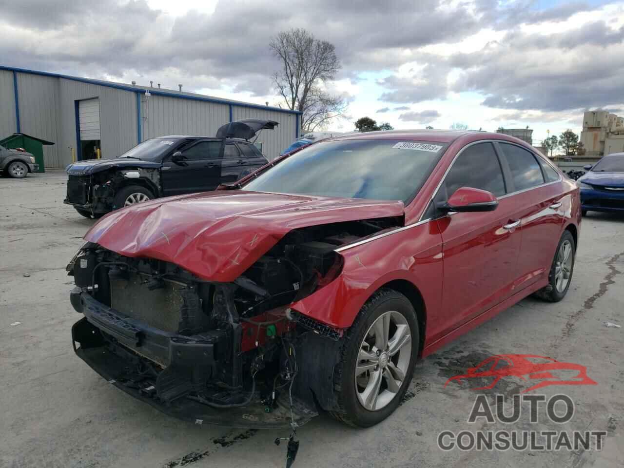 HYUNDAI SONATA 2018 - 5NPE34AF1JH639029