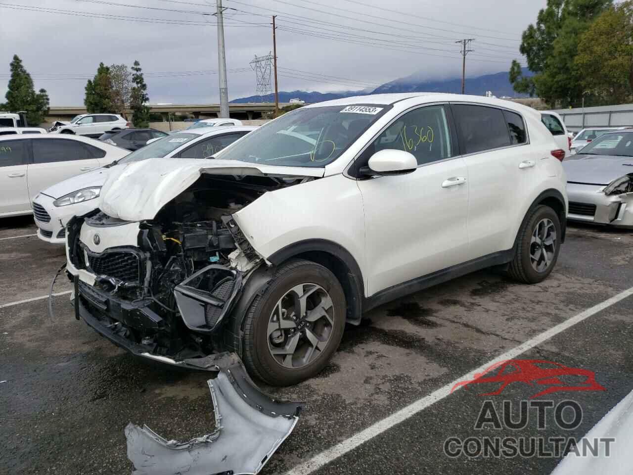 KIA SPORTAGE 2022 - KNDPM3AC2N7993920