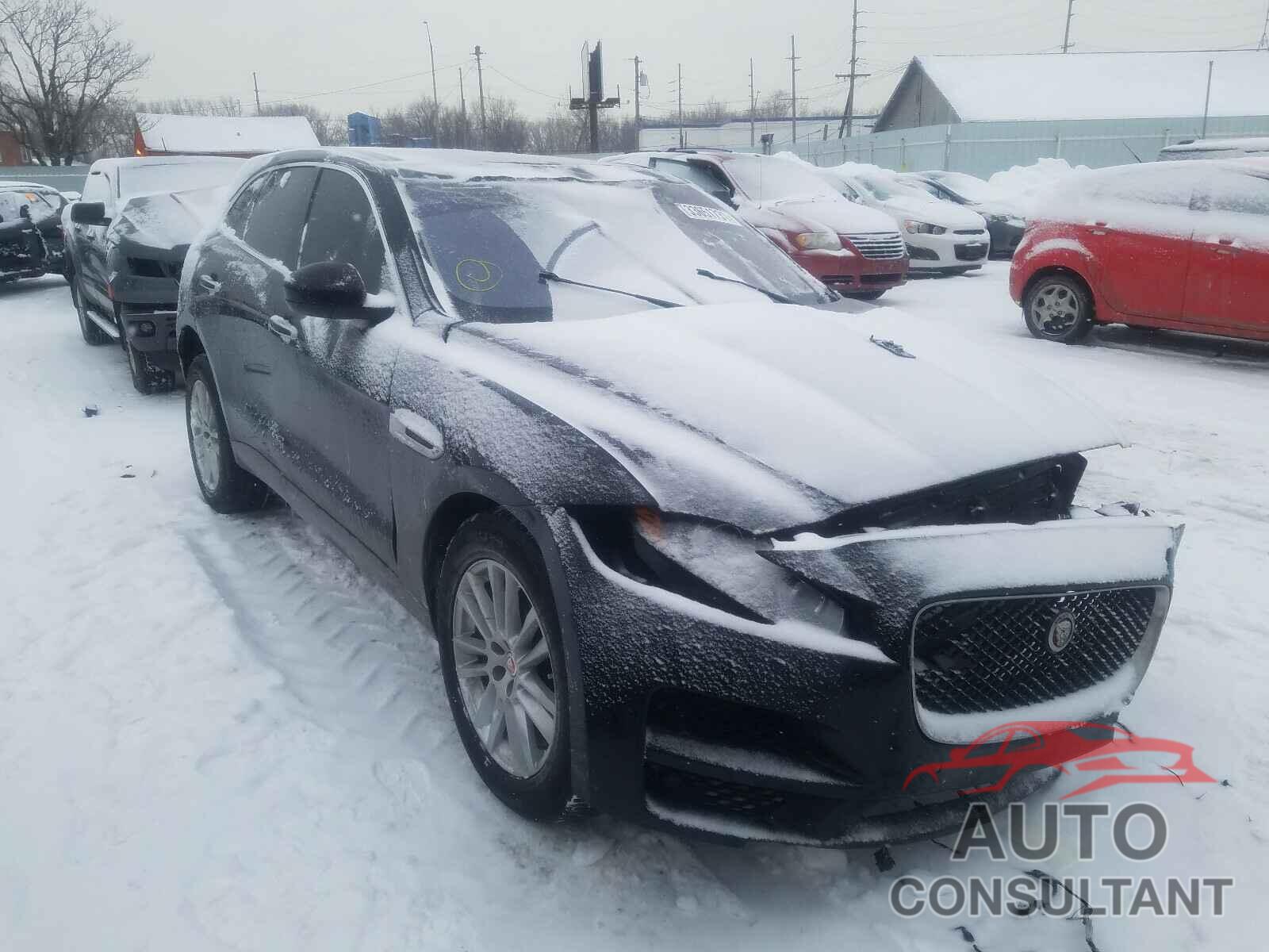 JAGUAR F-PACE 2019 - SADCK2GX3KA609090