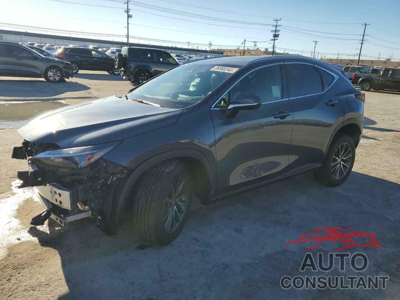 LEXUS NX 350 PRE 2024 - 2T2GGCEZ1RC039018