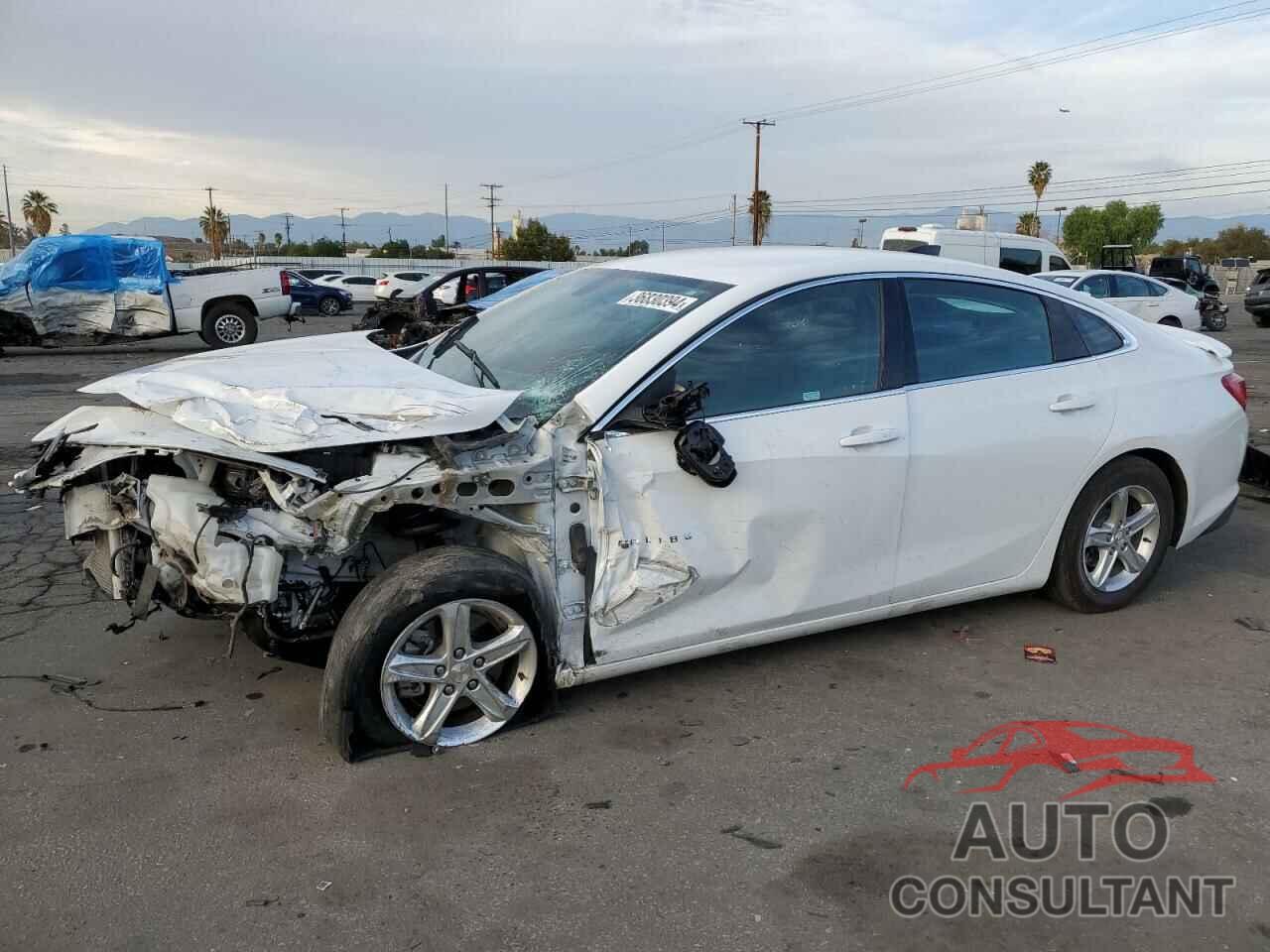 CHEVROLET MALIBU 2022 - 1G1ZB5ST2NF213227
