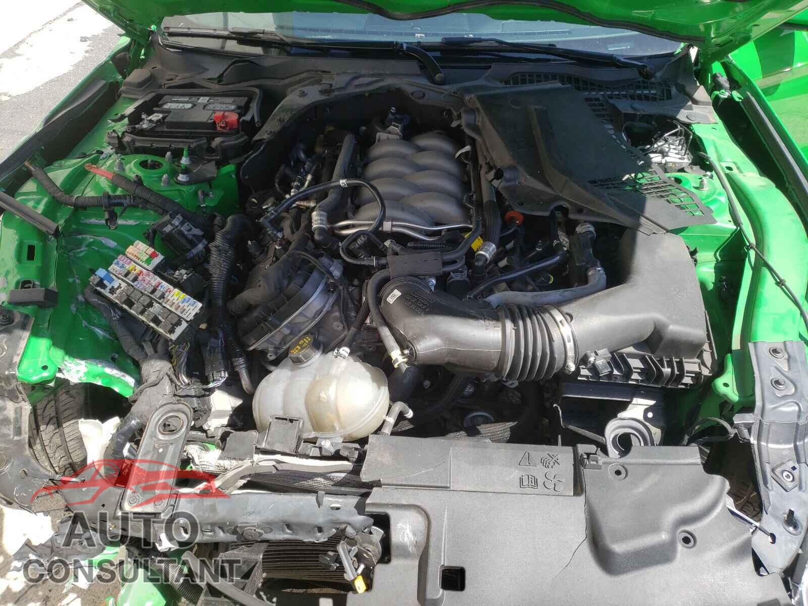 FORD MUSTANG 2019 - 1FA6P8CF4K5111392