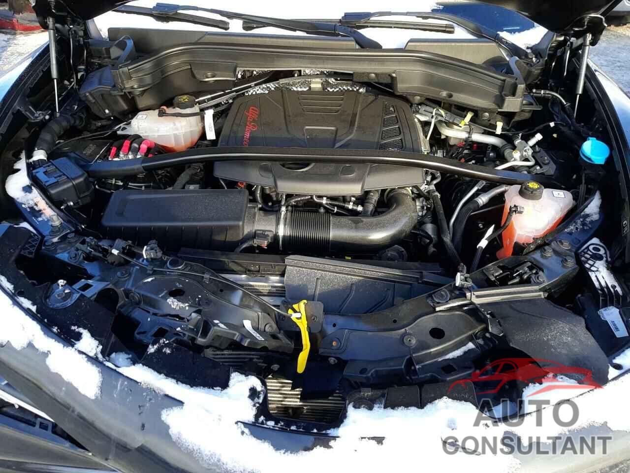 ALFA ROMEO STELVIO 2022 - ZASPAKBN7N7D28358
