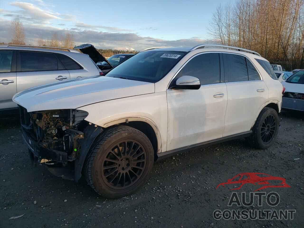 MERCEDES-BENZ GLE-CLASS 2020 - 4JGFB4KB3LA009473