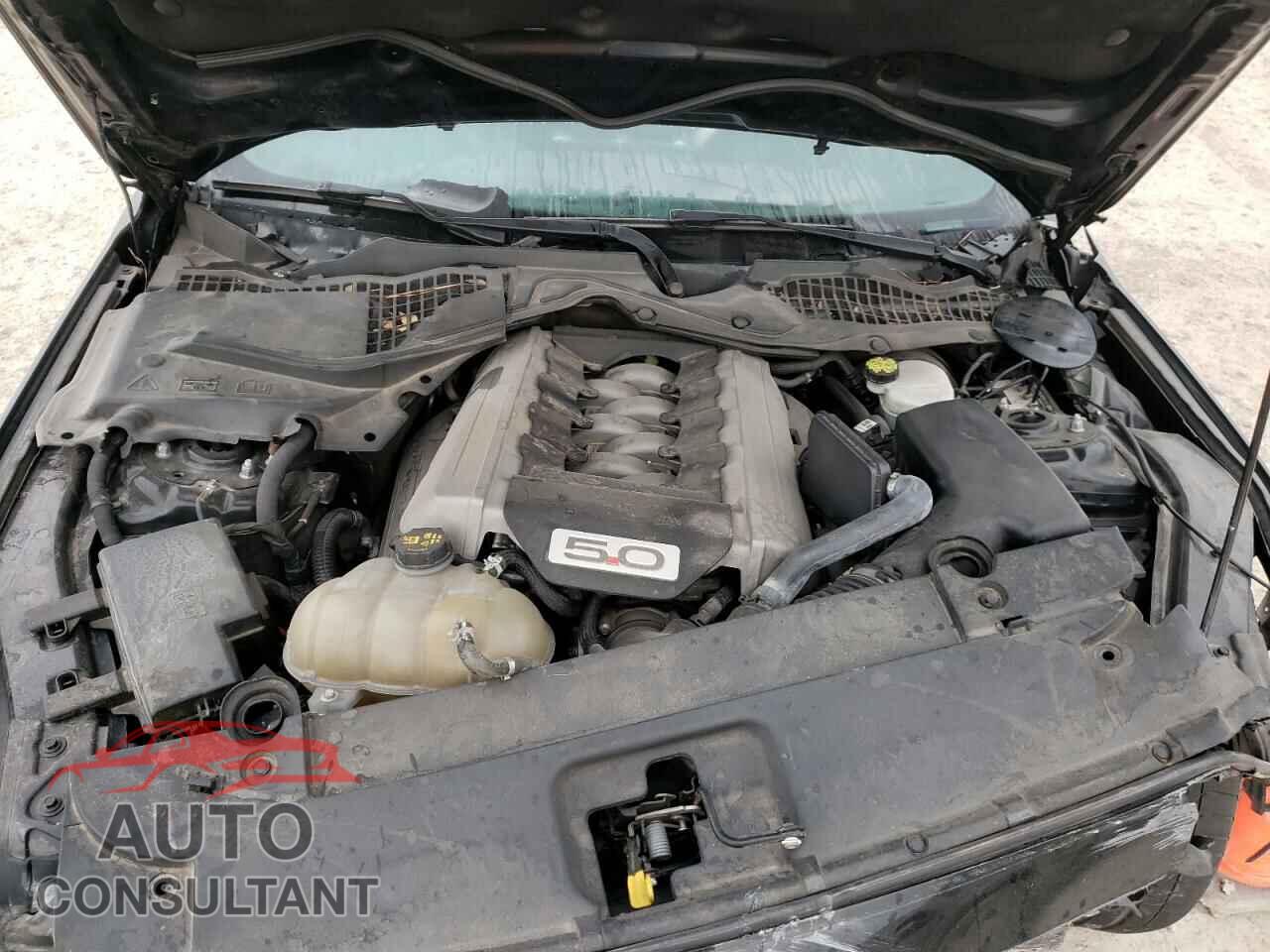 FORD MUSTANG 2017 - 1FA6P8CF2H5209619