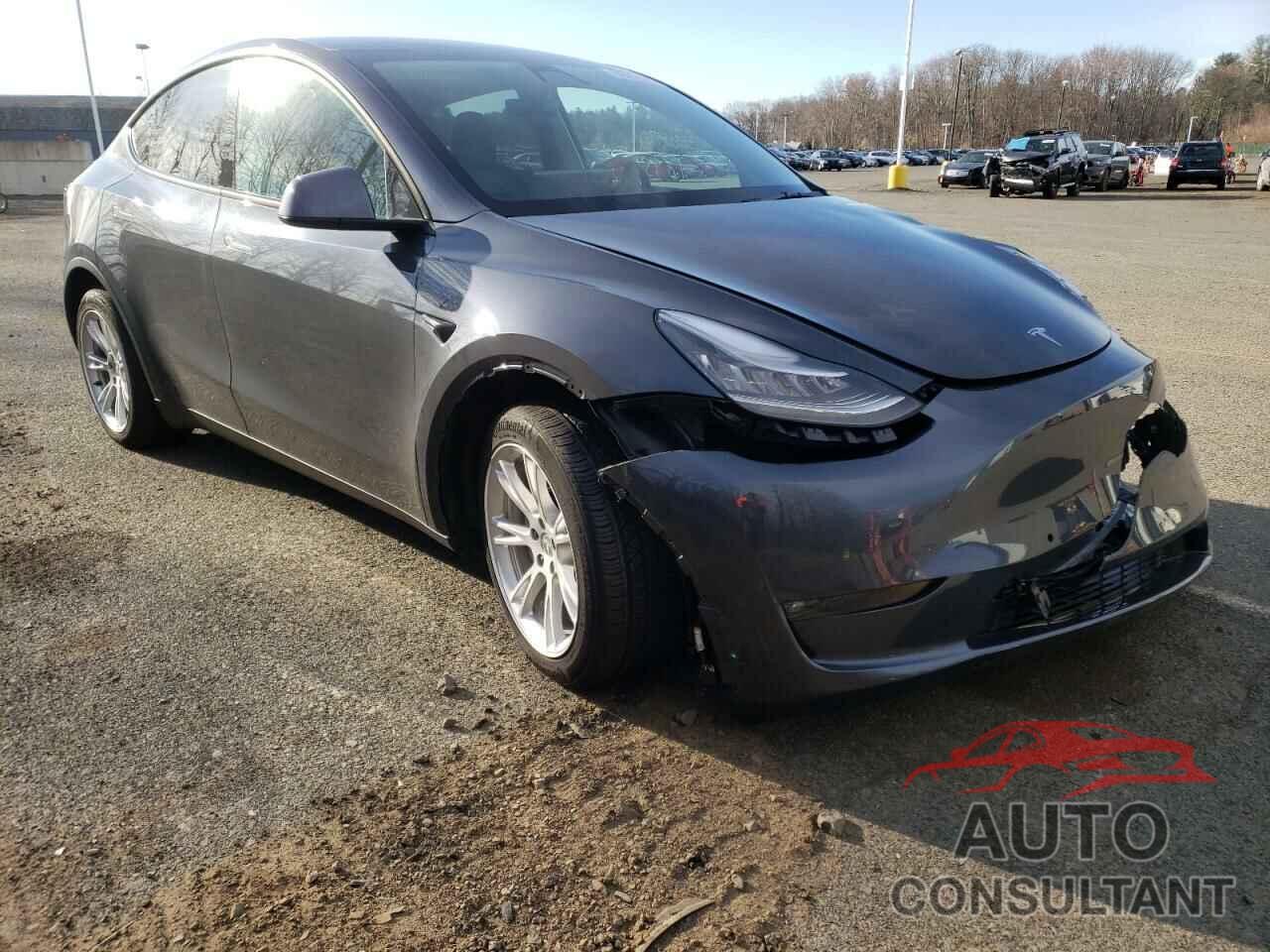 TESLA MODEL Y 2021 - 5YJYGDEE6MF099974