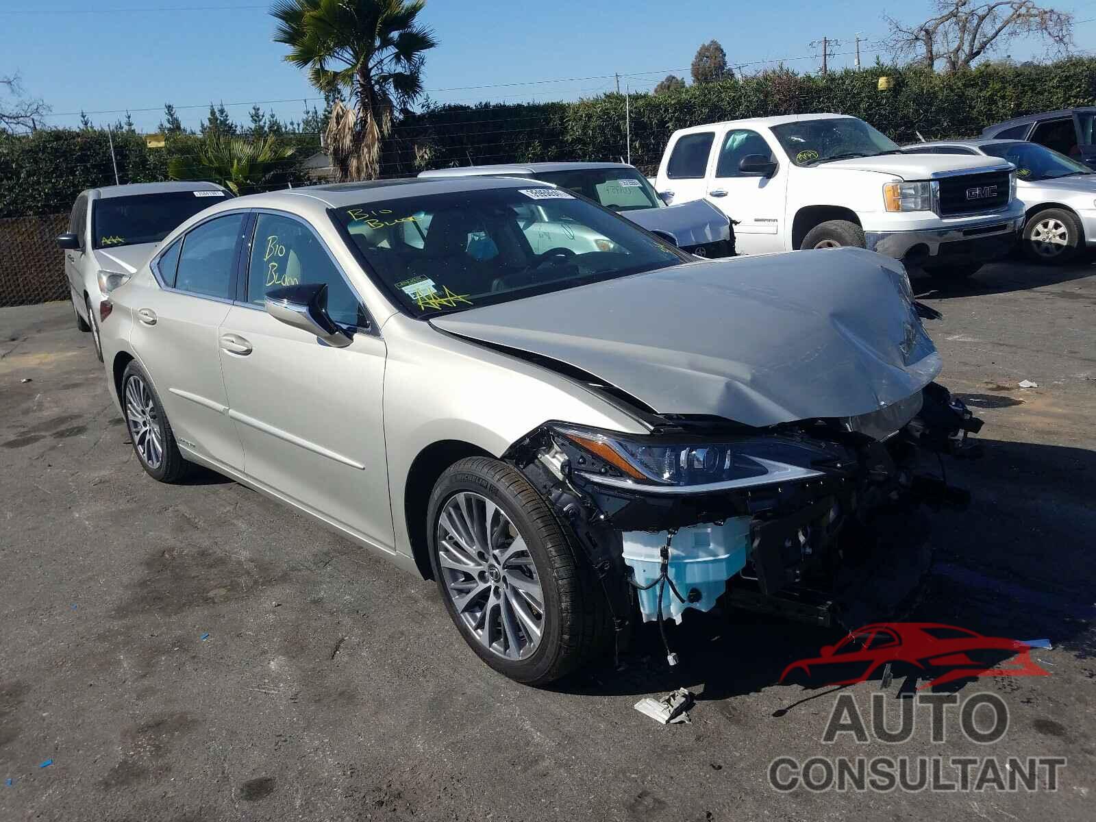 LEXUS ES300 2020 - 58AD21B19LU011748