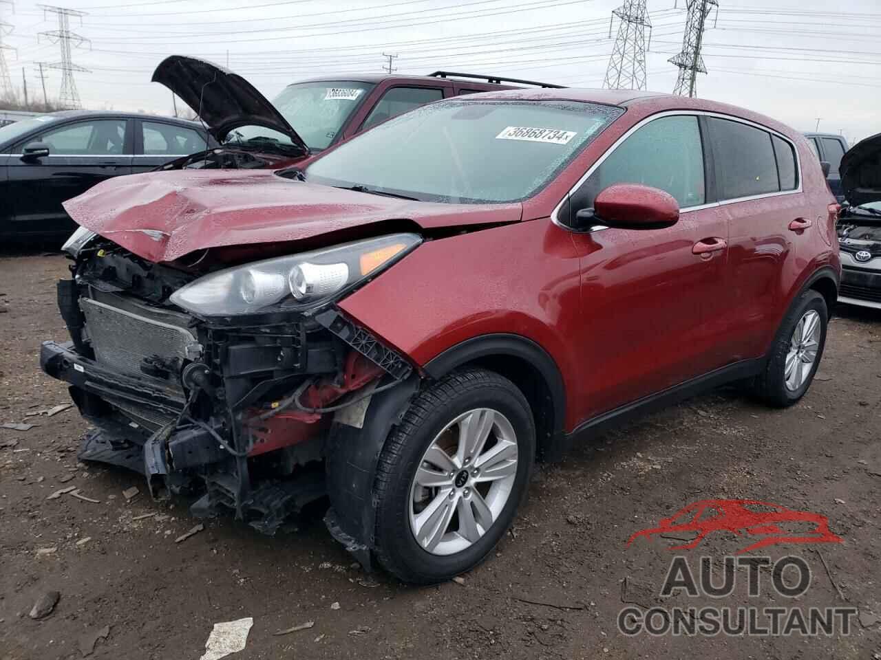 KIA SPORTAGE 2017 - KNDPM3AC7H7118613