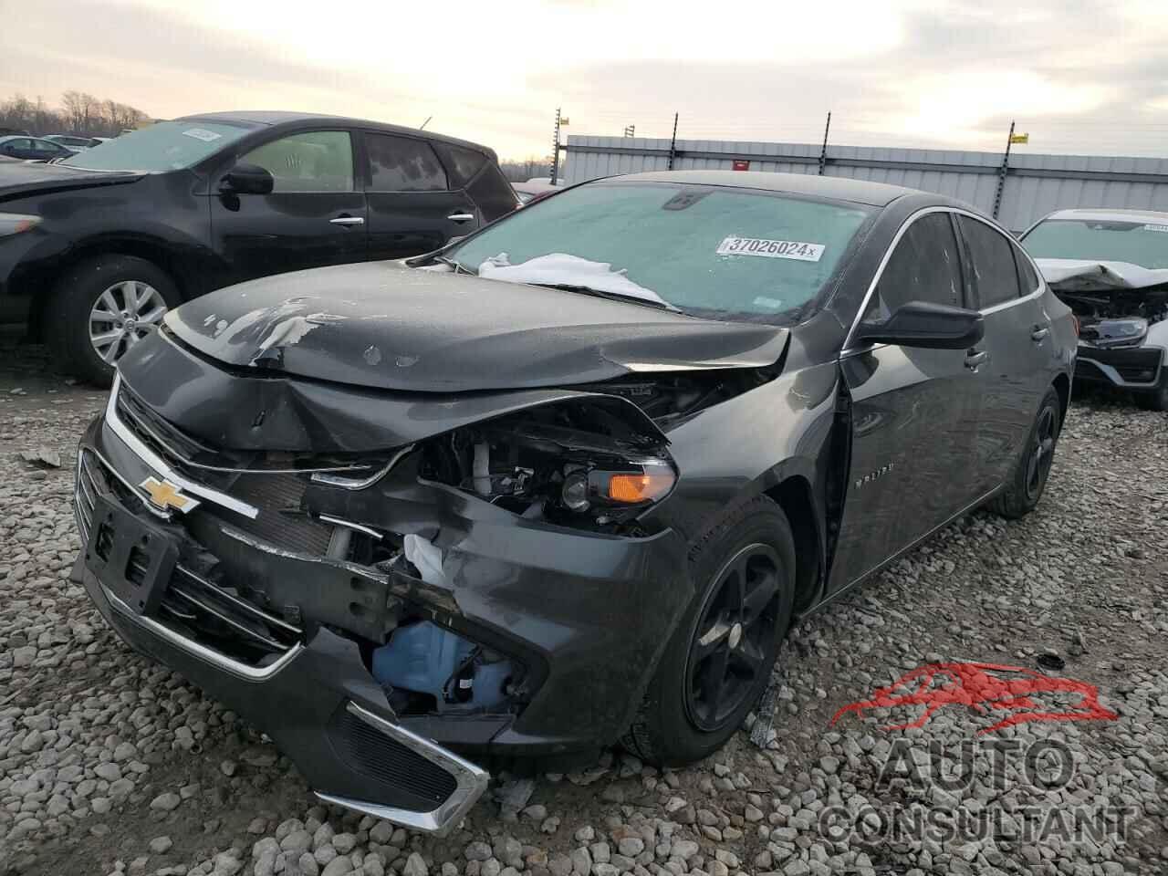 CHEVROLET MALIBU 2017 - 1G1ZB5ST1HF113091