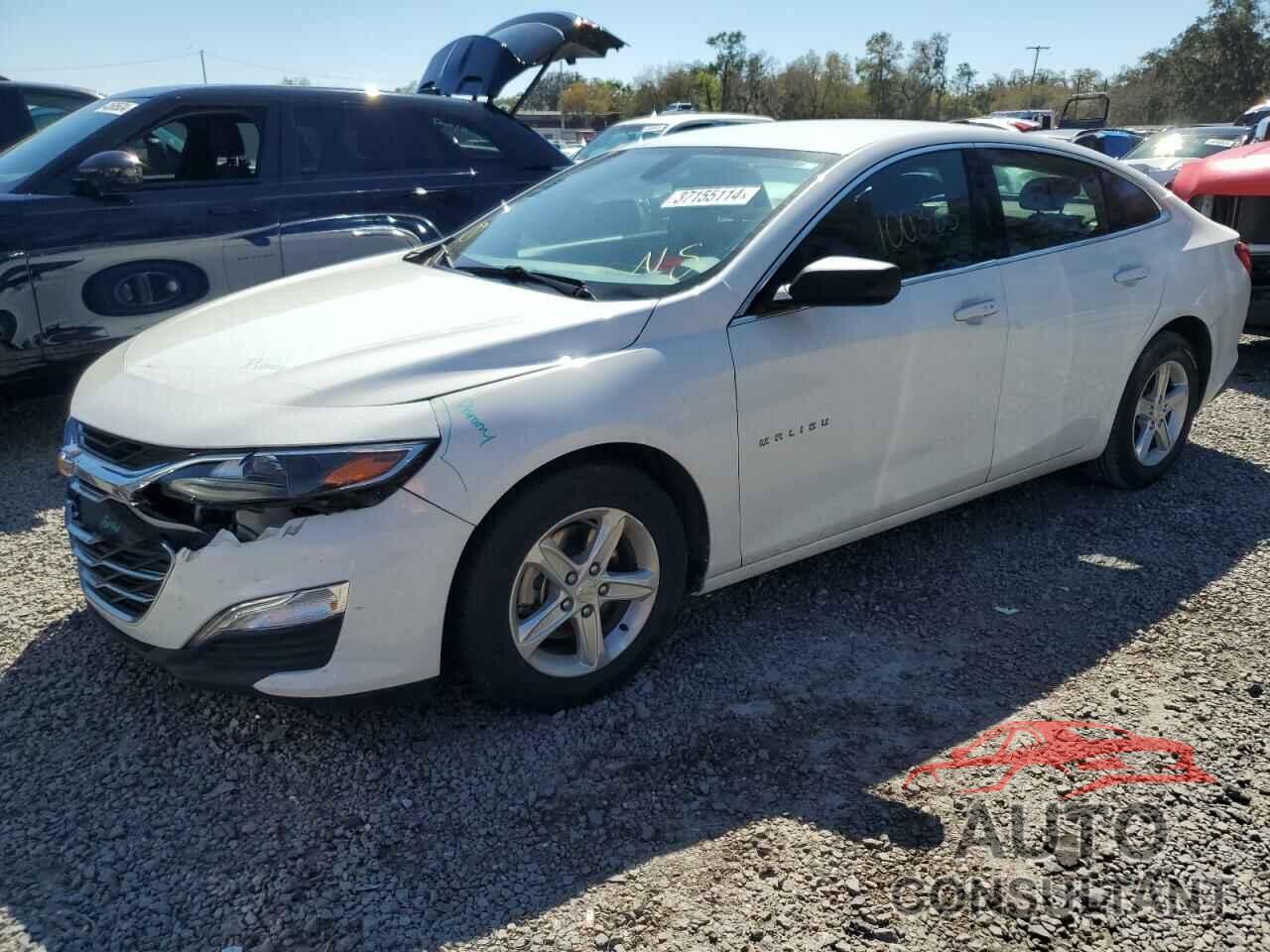 CHEVROLET MALIBU 2019 - 1G1ZB5STXKF190064