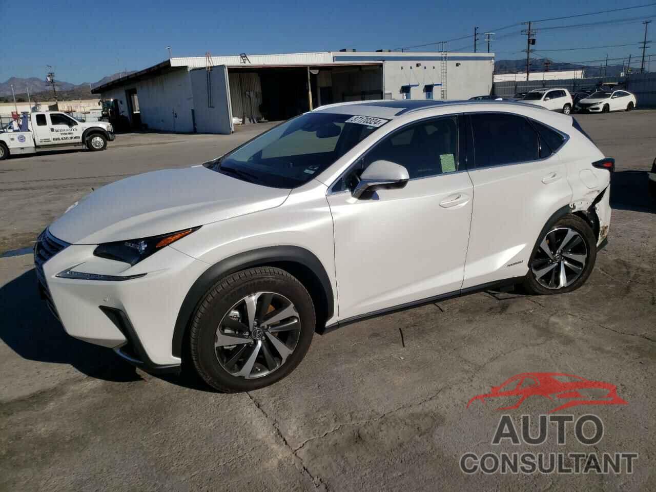 LEXUS NX 2021 - JTJGJRDZ2M5011533