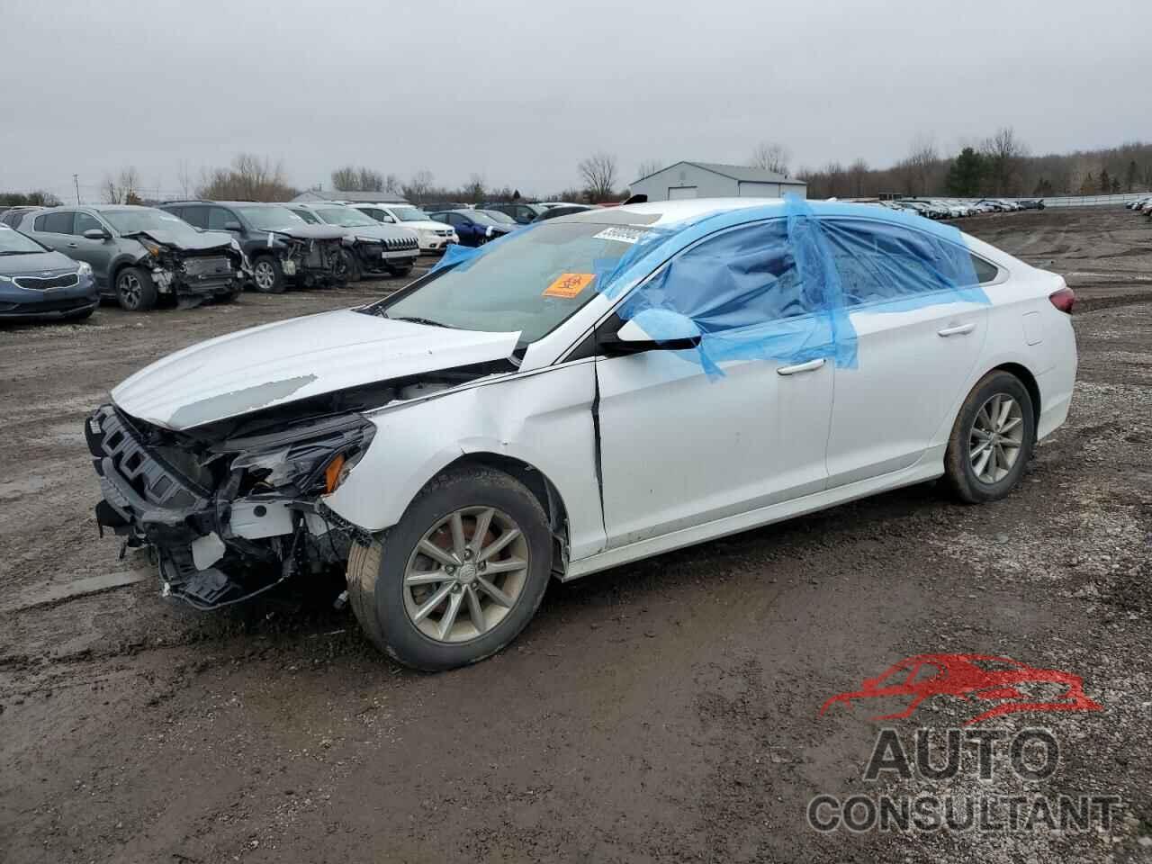 HYUNDAI SONATA 2018 - 5NPE24AF6JH655262