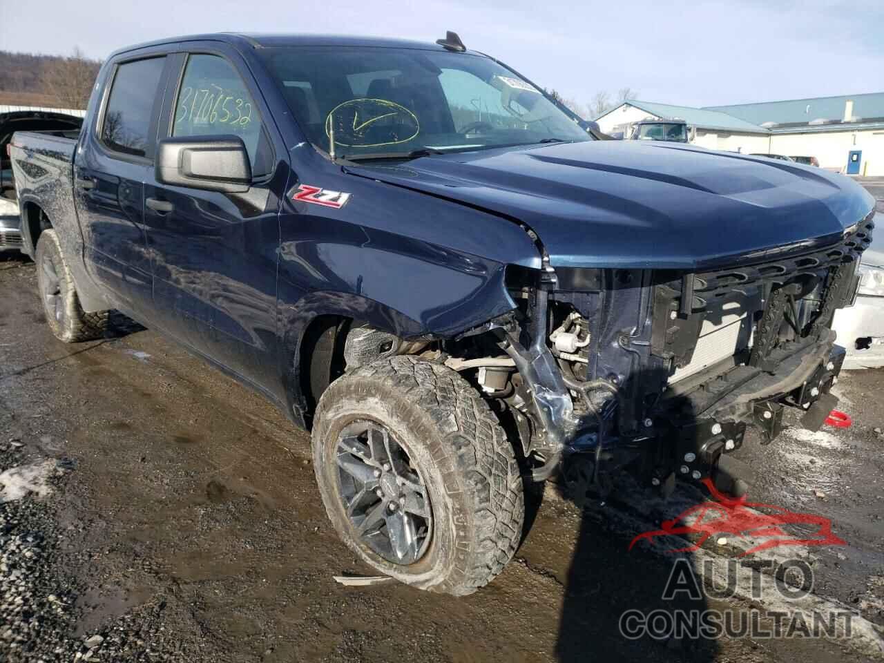 CHEVROLET SILVERADO 2020 - 1GCPYCEF8LZ127391