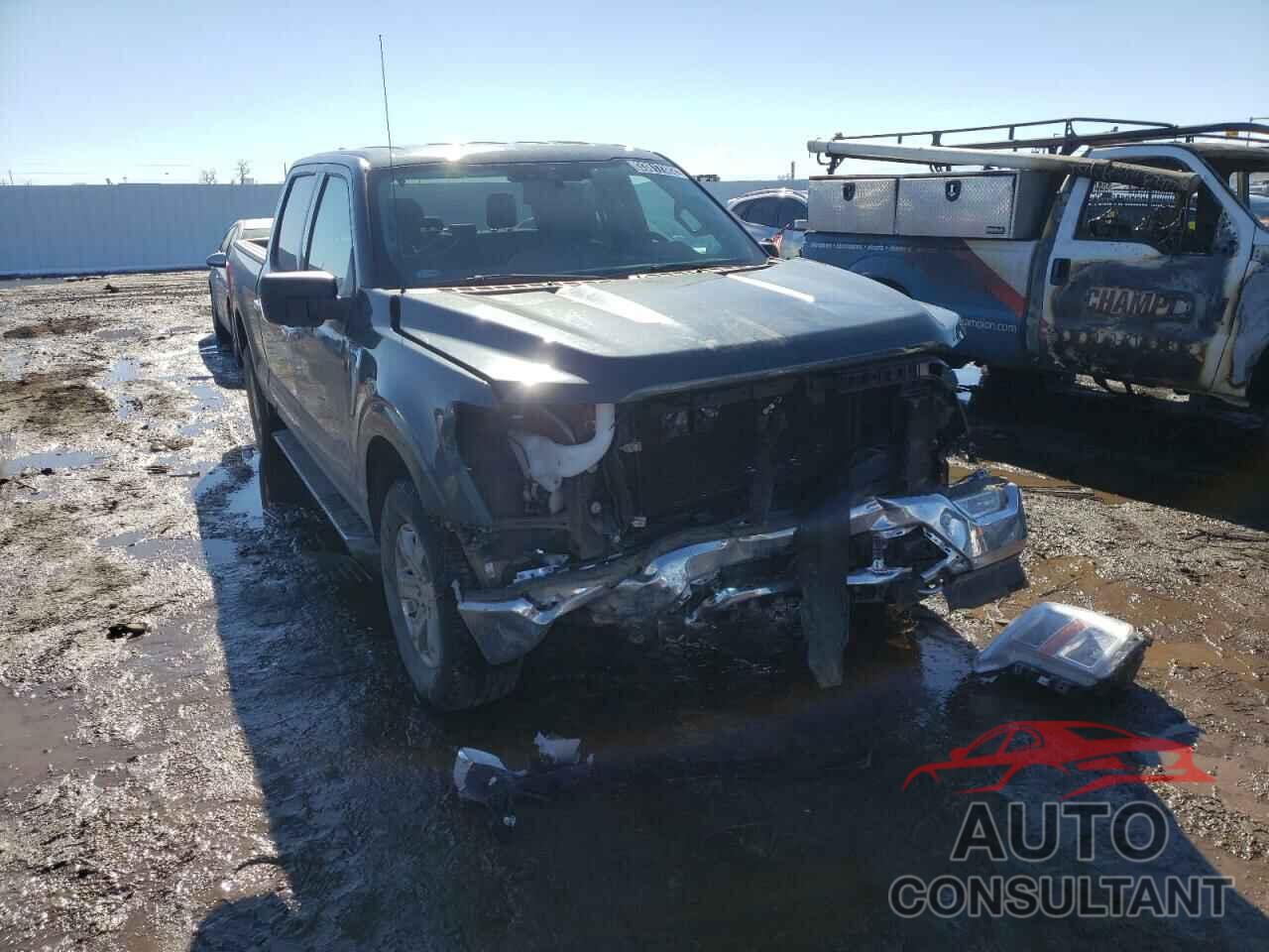 FORD F-150 2021 - 1FTFW1E81MKD26056