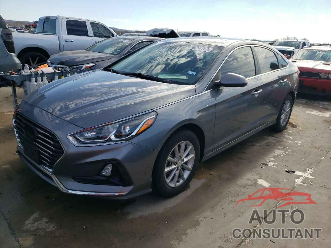 HYUNDAI SONATA 2019 - 5NPE24AF0KH740888