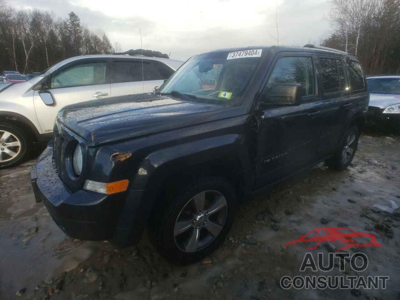 JEEP PATRIOT 2016 - 1C4NJRFB5GD523825