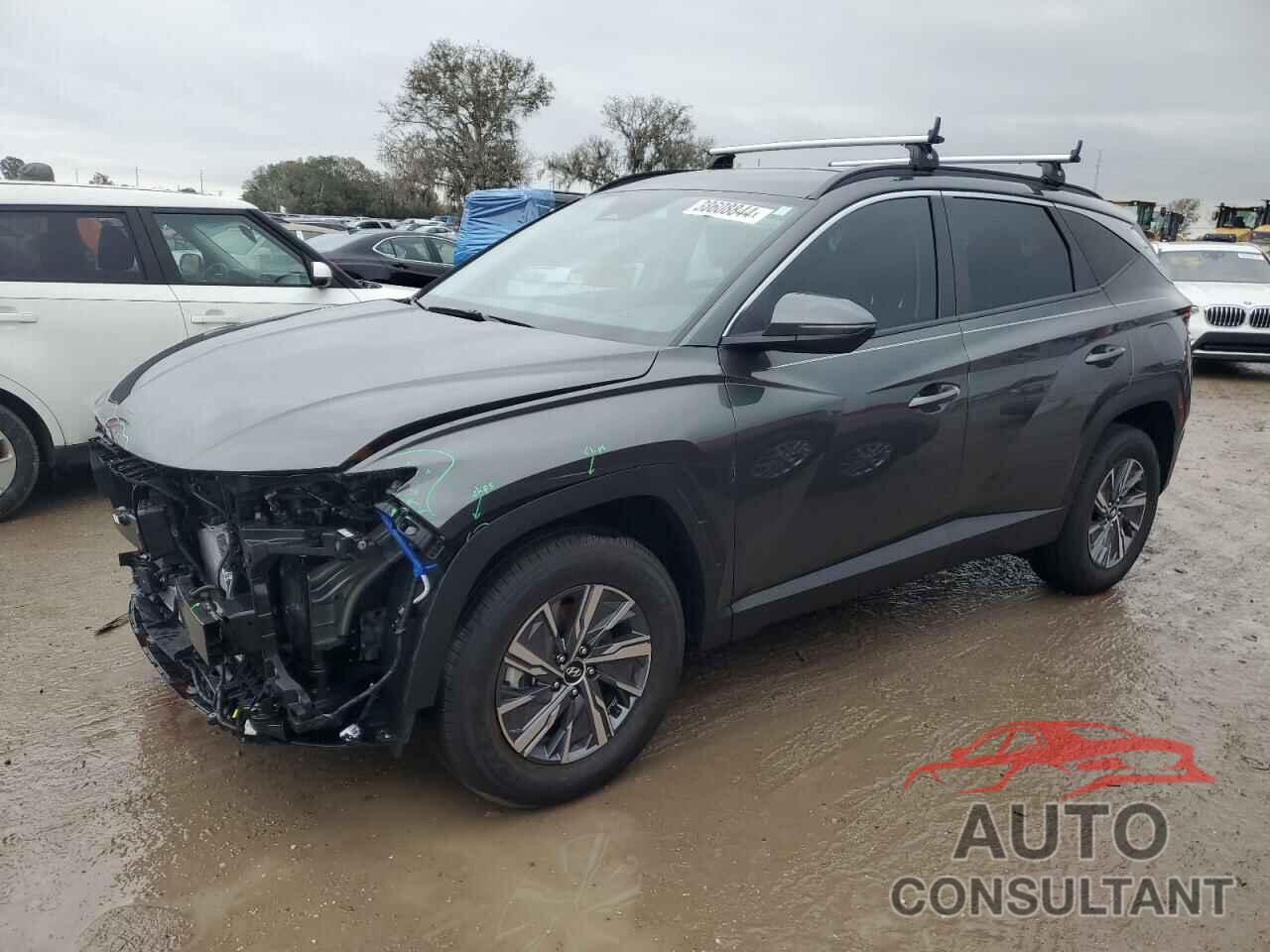 HYUNDAI TUCSON 2023 - KM8JBCA11PU094802