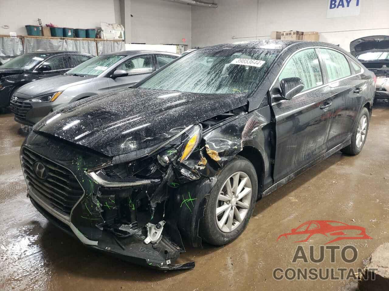 HYUNDAI SONATA 2019 - 5NPE24AF7KH756506
