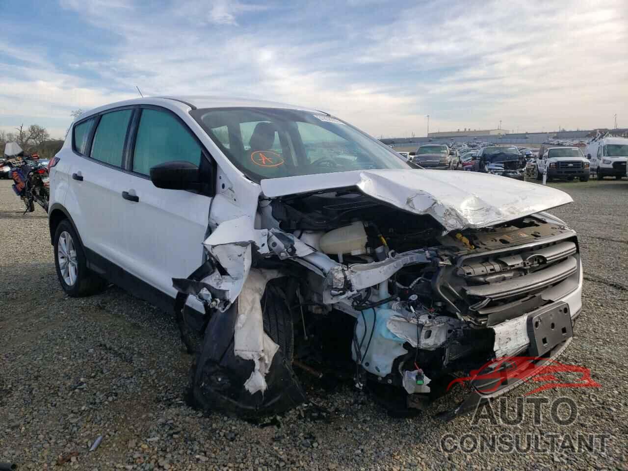 FORD ESCAPE 2019 - 1FMCU0F72KUA20876