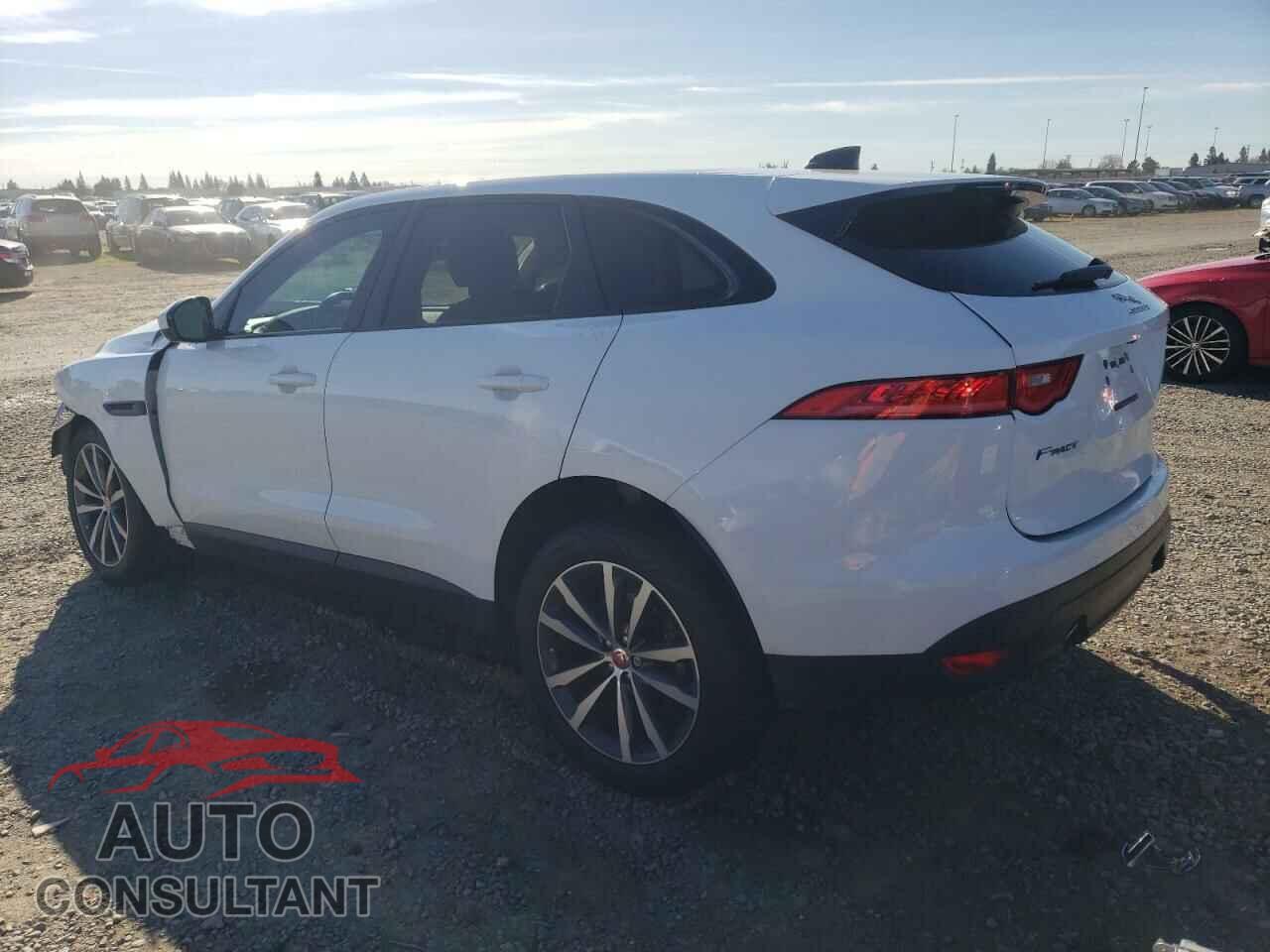 JAGUAR F-PACE 2020 - SADCK2FX2LA651852