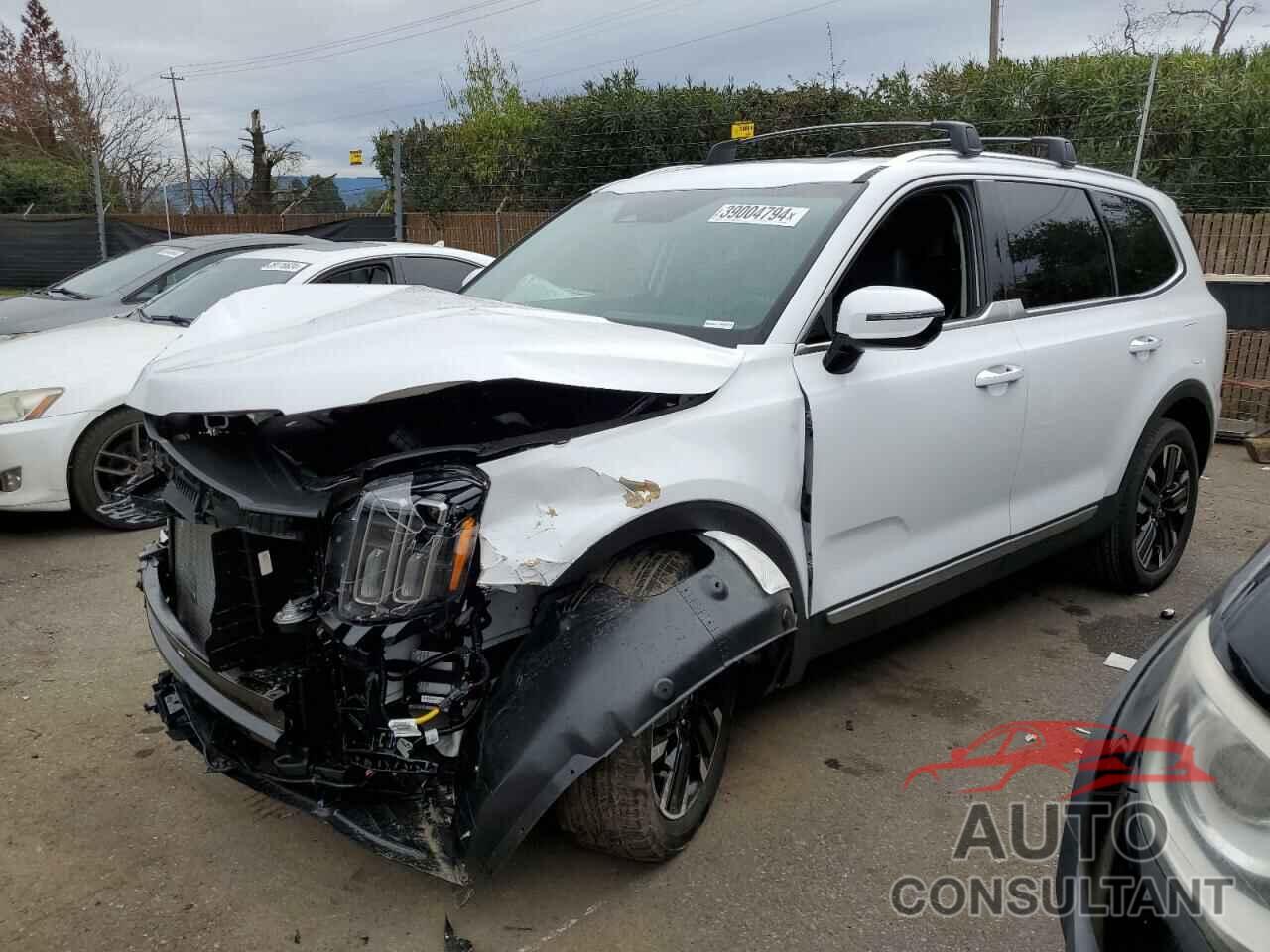 KIA TELLURIDE 2024 - 5XYP5DGC6RG451870