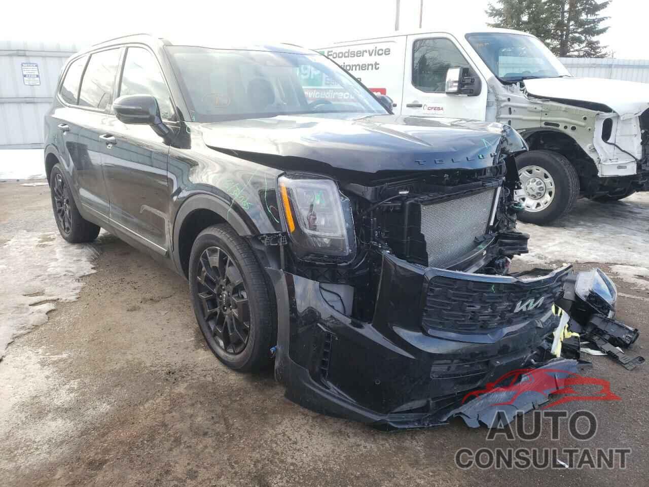 KIA TELLURIDE 2022 - 5XYP5DHC4NG234388