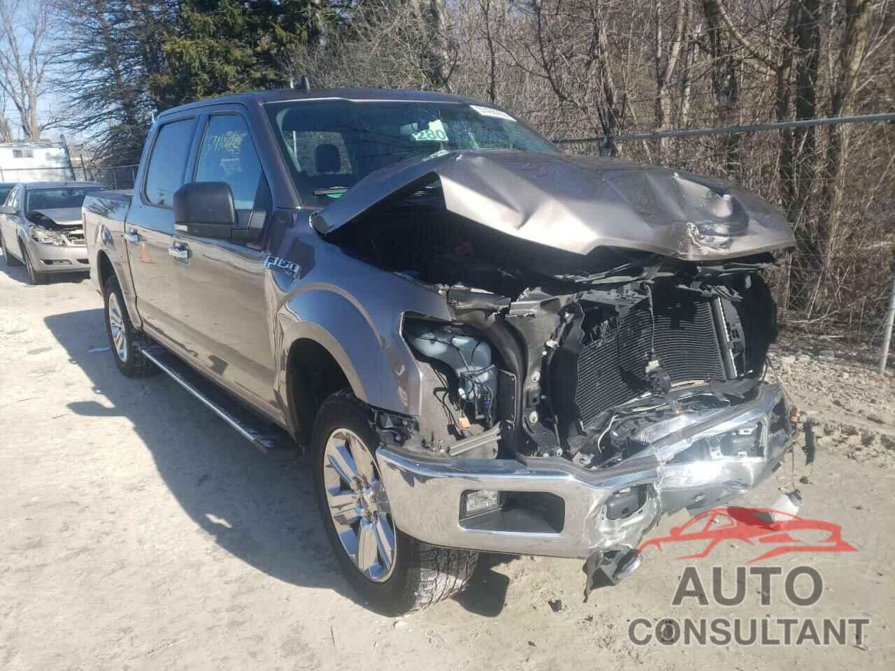 FORD F-150 2019 - 1FTEW1EP7KFA55979