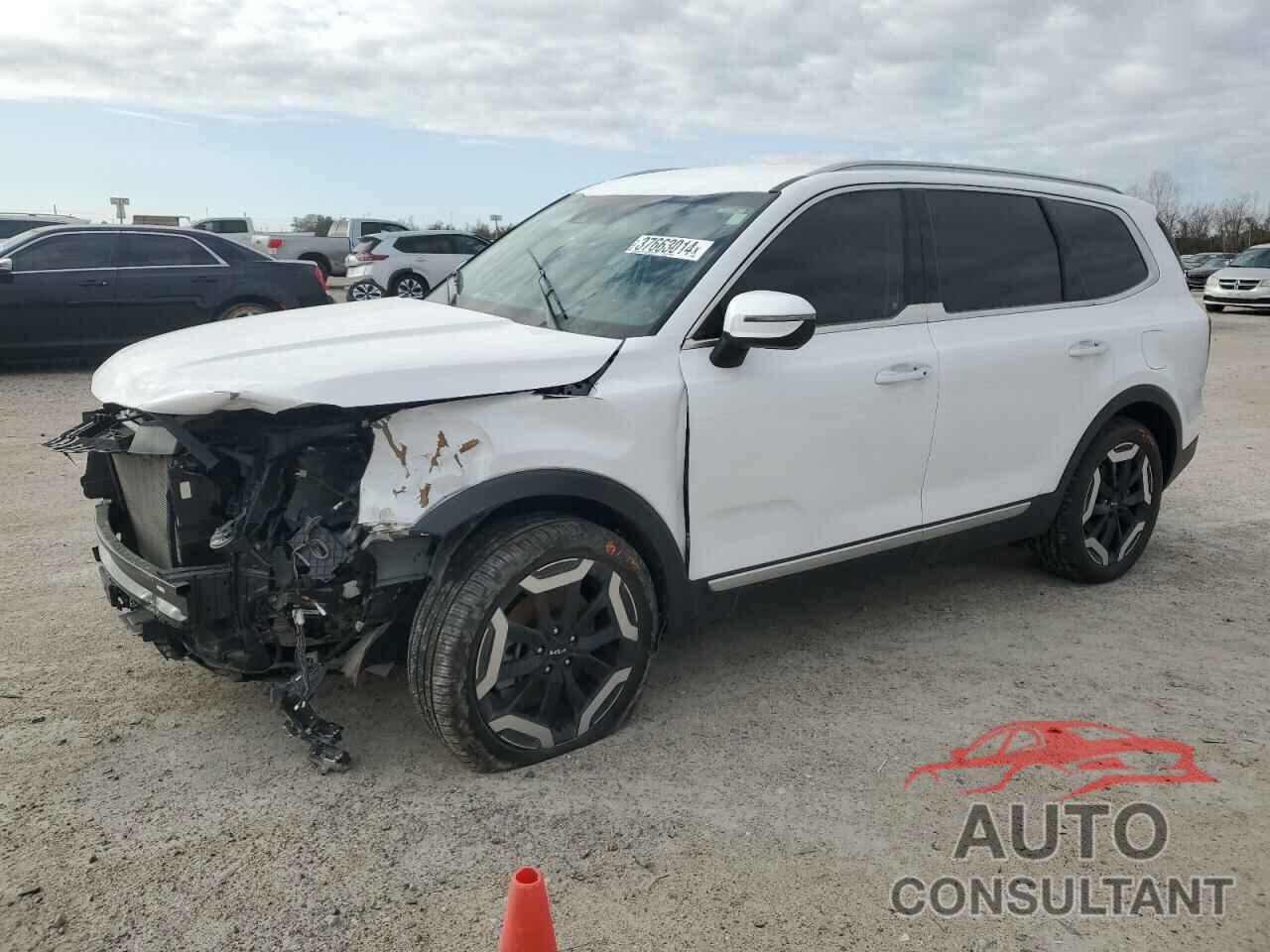 KIA TELLURIDE 2024 - 5XYP6DGC6RG457360